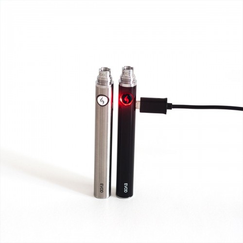 BATERIE EVOD 1100 MAH-USB